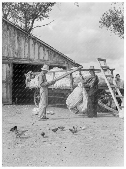 Cotton Farm Labor in Kern County California 1938 - Available at KNOWOL