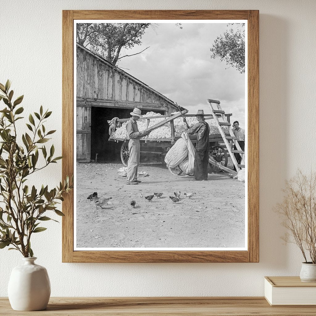 Cotton Farm Labor in Kern County California 1938 - Available at KNOWOL