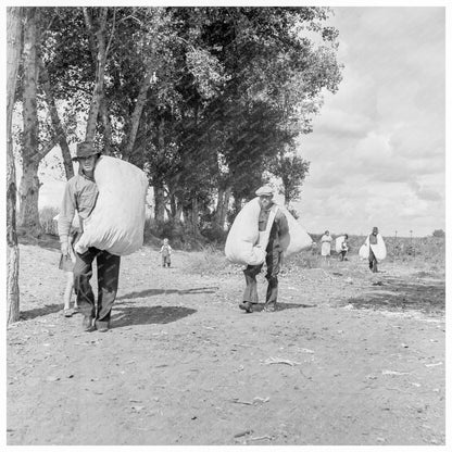 Cotton Field Workers Kern County California 1938 - Available at KNOWOL