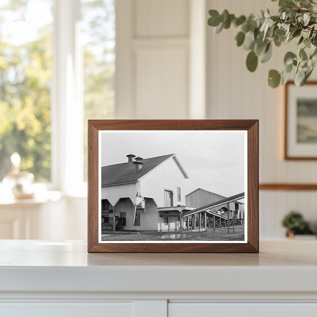 Cotton Gin and Warehouse at Sunflower Plantation 1939 - Available at KNOWOL