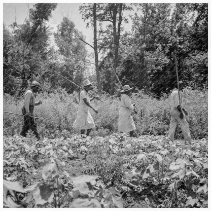 Cotton Harvesters in Clarksdale Mississippi 1937 - Available at KNOWOL