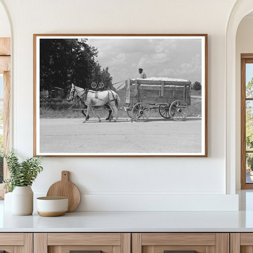 Cotton Hauling to Gin in Lehi Arkansas 1938 - Available at KNOWOL