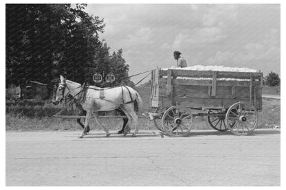 Cotton Hauling to Gin in Lehi Arkansas 1938 - Available at KNOWOL