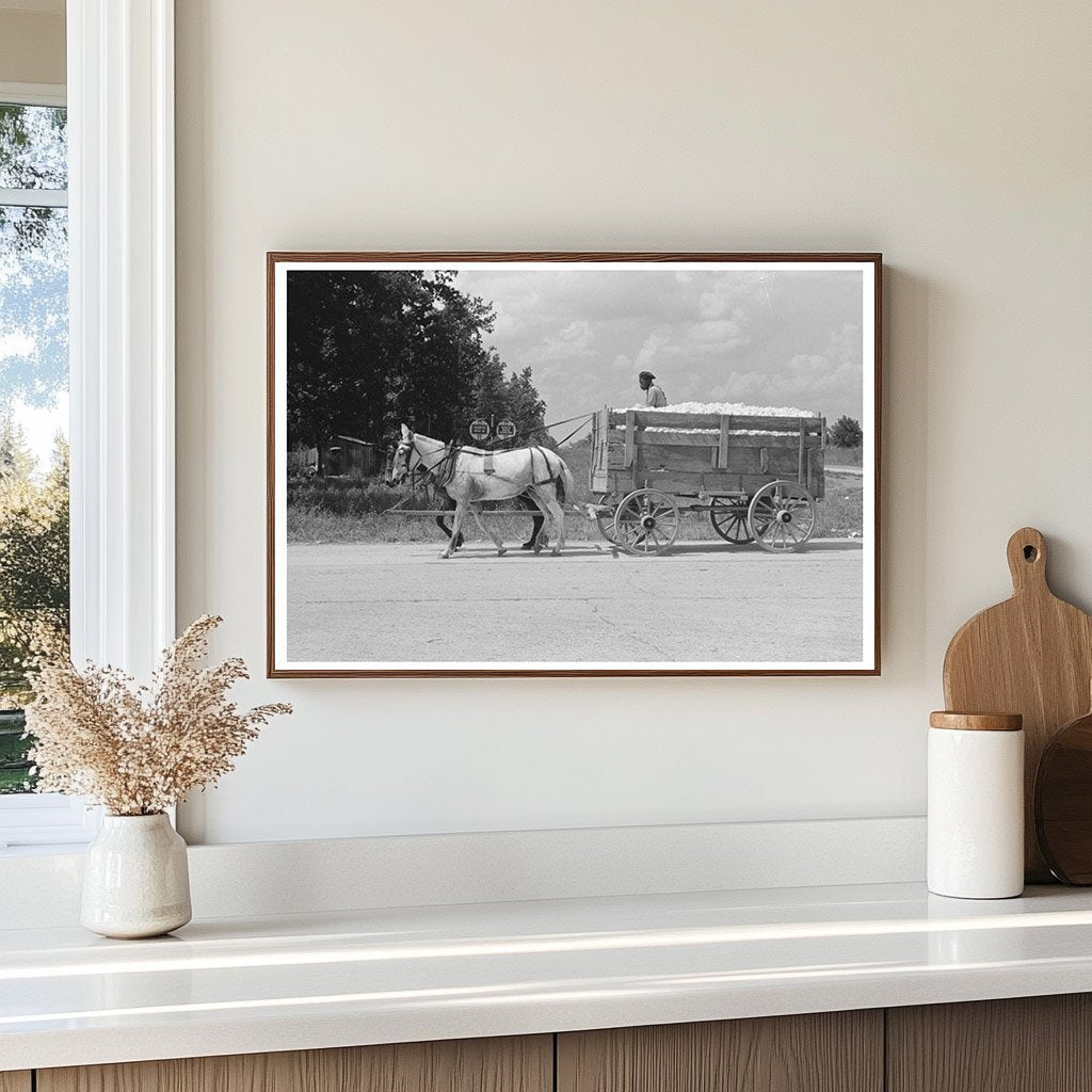 Cotton Hauling to Gin in Lehi Arkansas 1938 - Available at KNOWOL