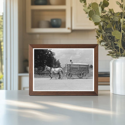 Cotton Hauling to Gin in Lehi Arkansas 1938 - Available at KNOWOL