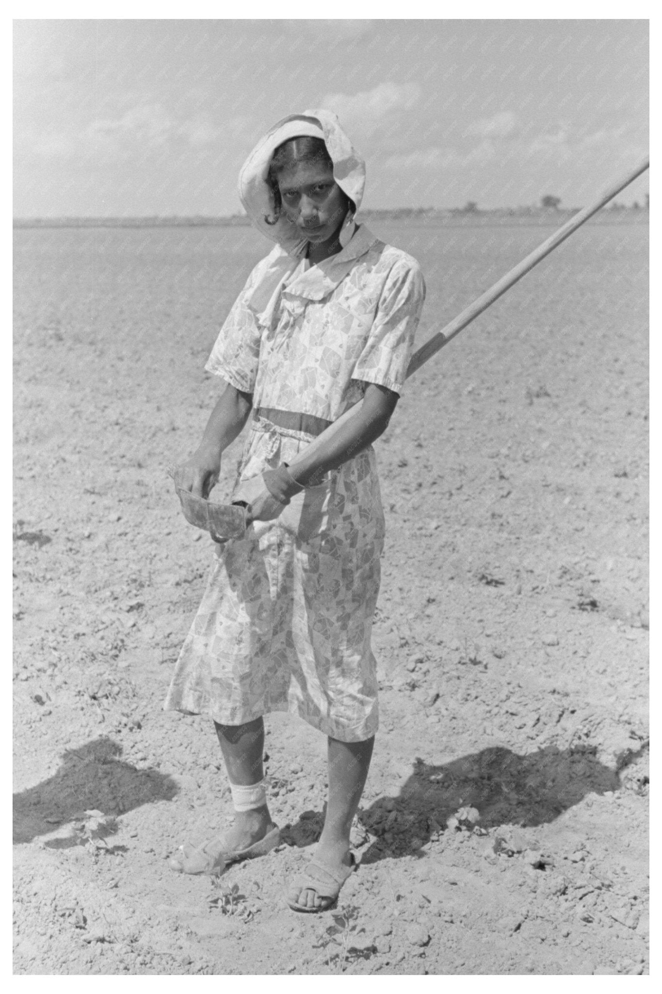 Cotton Hoeing in New Madrid County Missouri 1938 - Available at KNOWOL