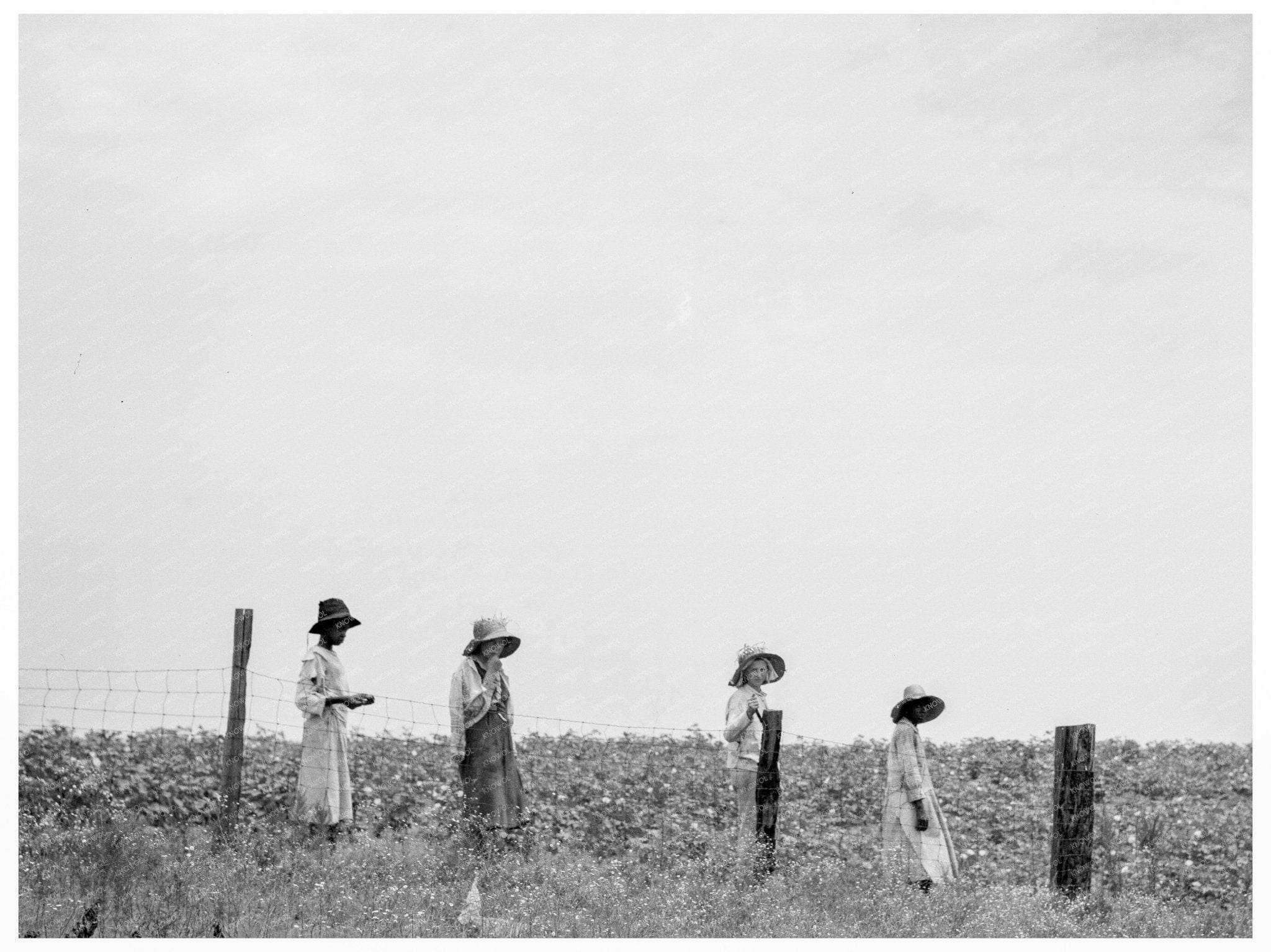 Cotton Hoers Break for Lunch Summer 1937 Georgia - Available at KNOWOL