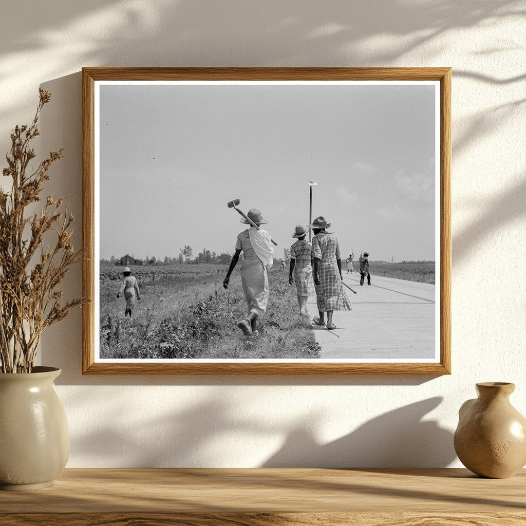 Cotton Hoers in Mississippi Delta June 1937 - Available at KNOWOL