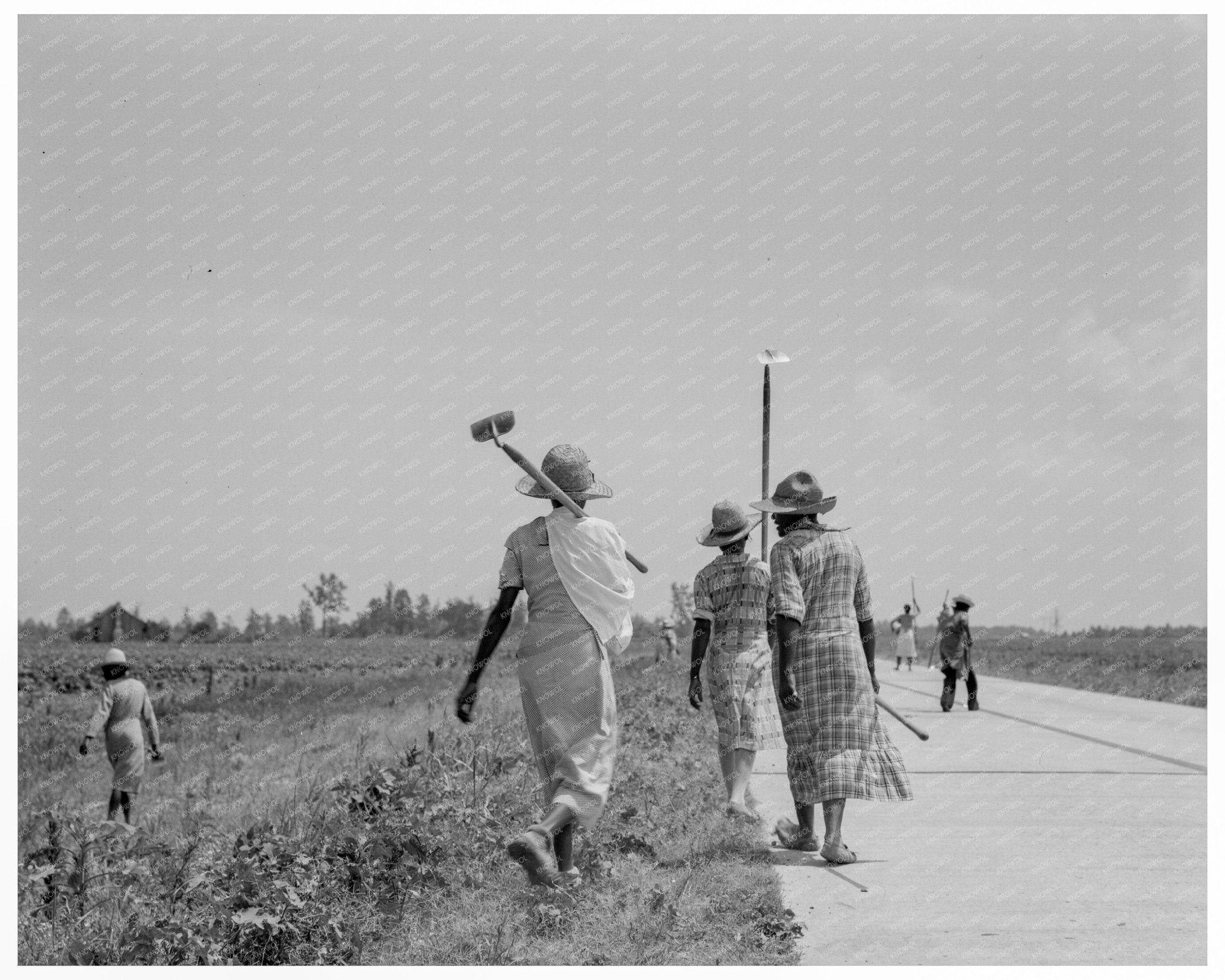 Cotton Hoers in Mississippi Delta June 1937 - Available at KNOWOL