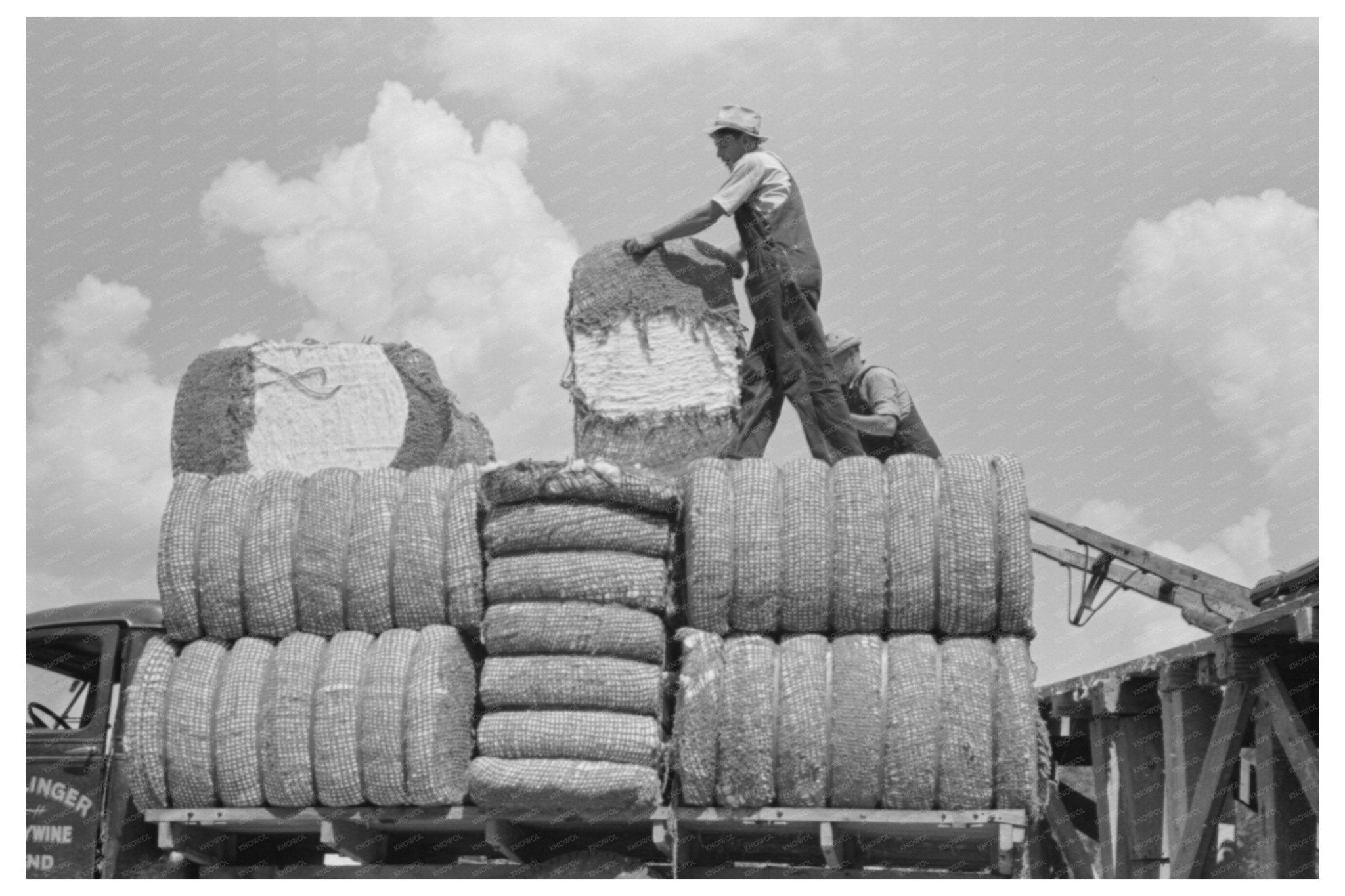 Cotton Loading at Lehi Arkansas Gin Platform September 1938 - Available at KNOWOL