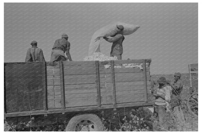 Cotton Loading onto Truck at Lake Dick Project 1938 - Available at KNOWOL