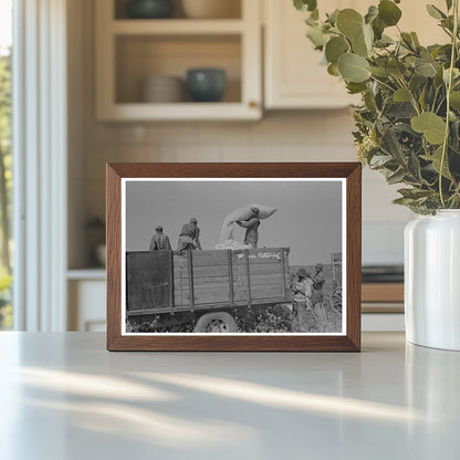 Cotton Loading onto Truck at Lake Dick Project 1938 - Available at KNOWOL