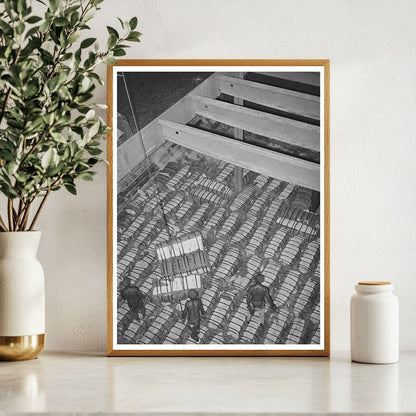 Cotton Loading Process in Houston Texas 1939 - Available at KNOWOL