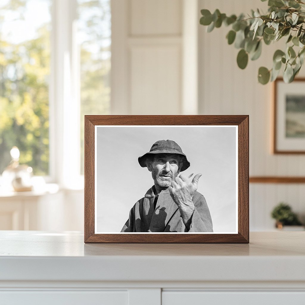 Cotton Picker in Firebaugh California February 1939 - Available at KNOWOL