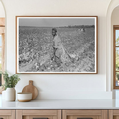 Cotton Picker in Lake Dick Project Arkansas 1938 - Available at KNOWOL