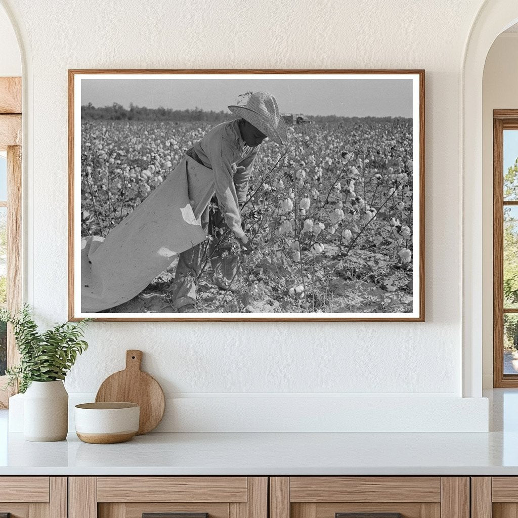 Cotton Picker in Pine Bluff Arkansas 1938 - Available at KNOWOL