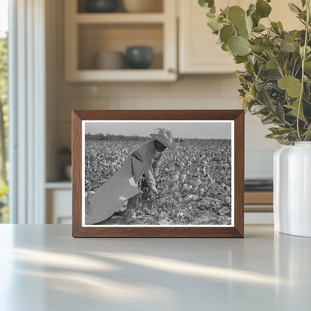 Cotton Picker in Pine Bluff Arkansas 1938 - Available at KNOWOL