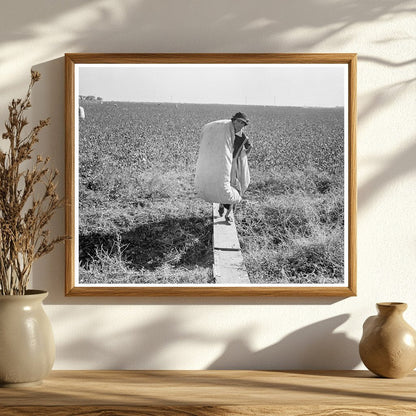 Cotton Picker in San Joaquin Valley California 1936 - Available at KNOWOL