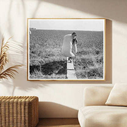 Cotton Picker in San Joaquin Valley California 1936 - Available at KNOWOL