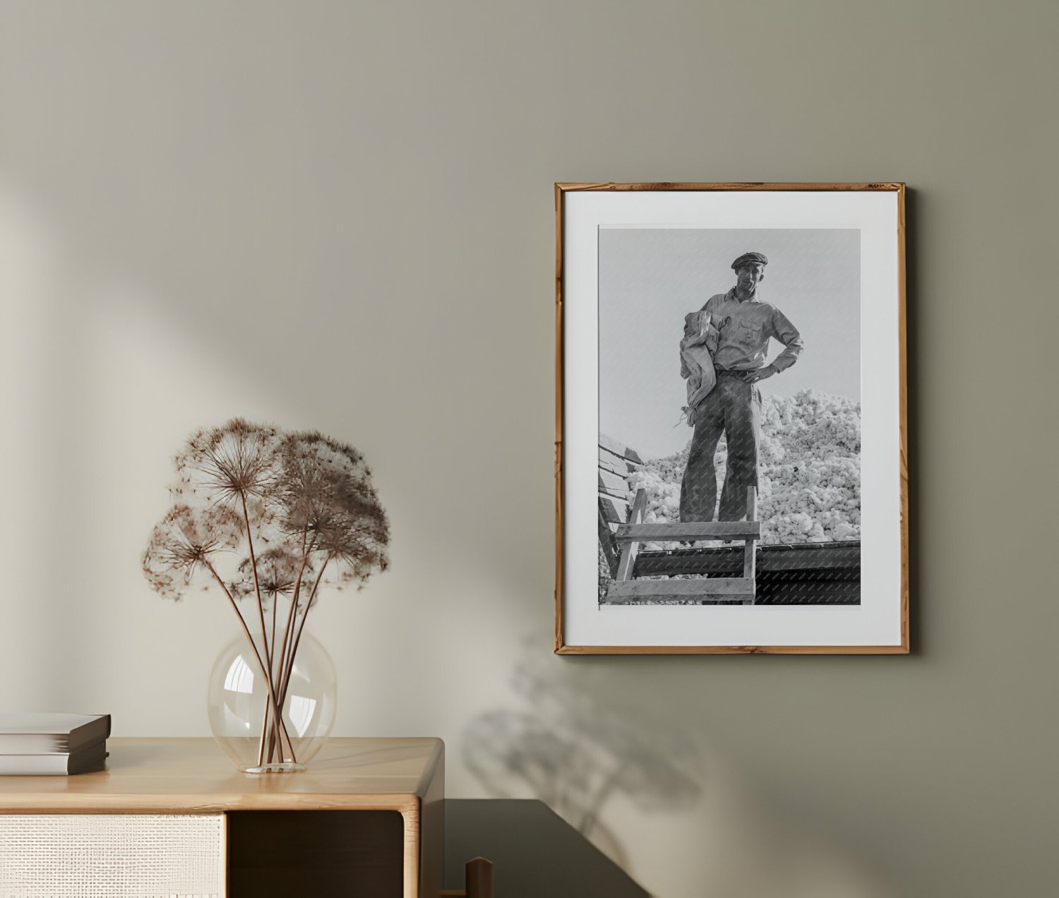 Cotton Picker in Southern San Joaquin Valley California November 1936 - Available at KNOWOL