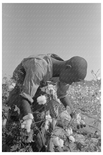 Cotton Pickers at Lake Dick Arkansas September 1938 - Available at KNOWOL