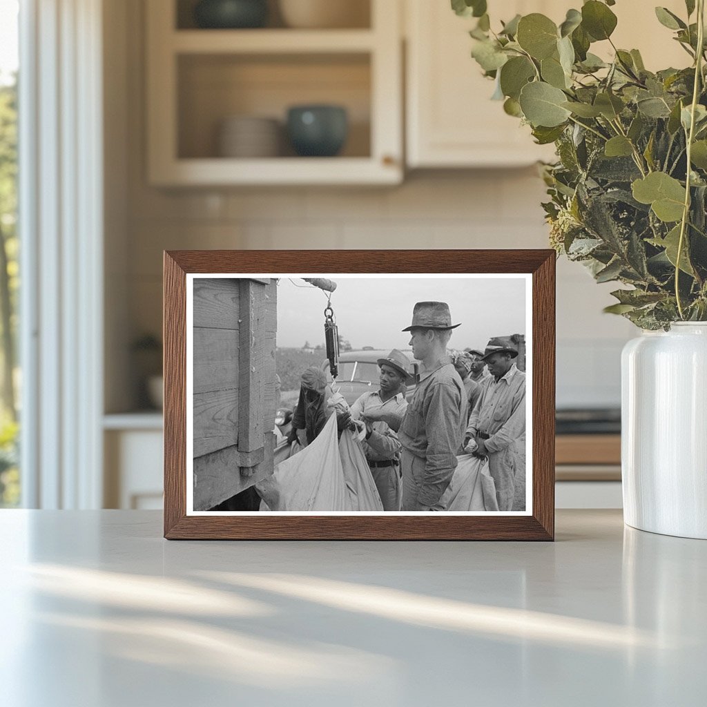 Cotton Pickers at Lake Dick Project Arkansas 1938 - Available at KNOWOL