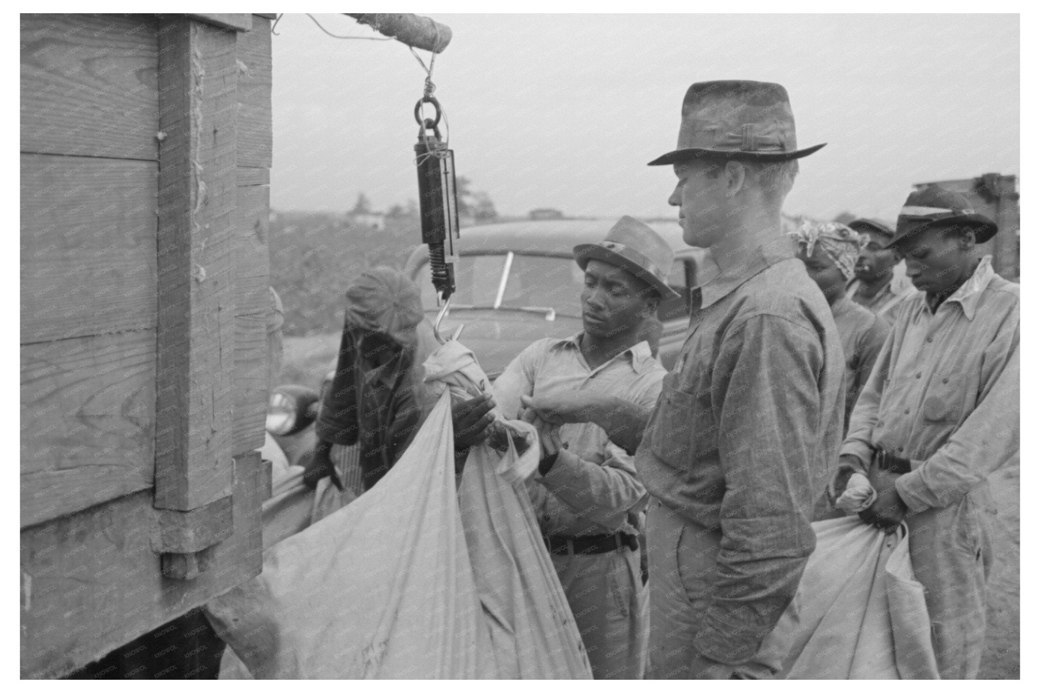 Cotton Pickers at Lake Dick Project Arkansas 1938 - Available at KNOWOL