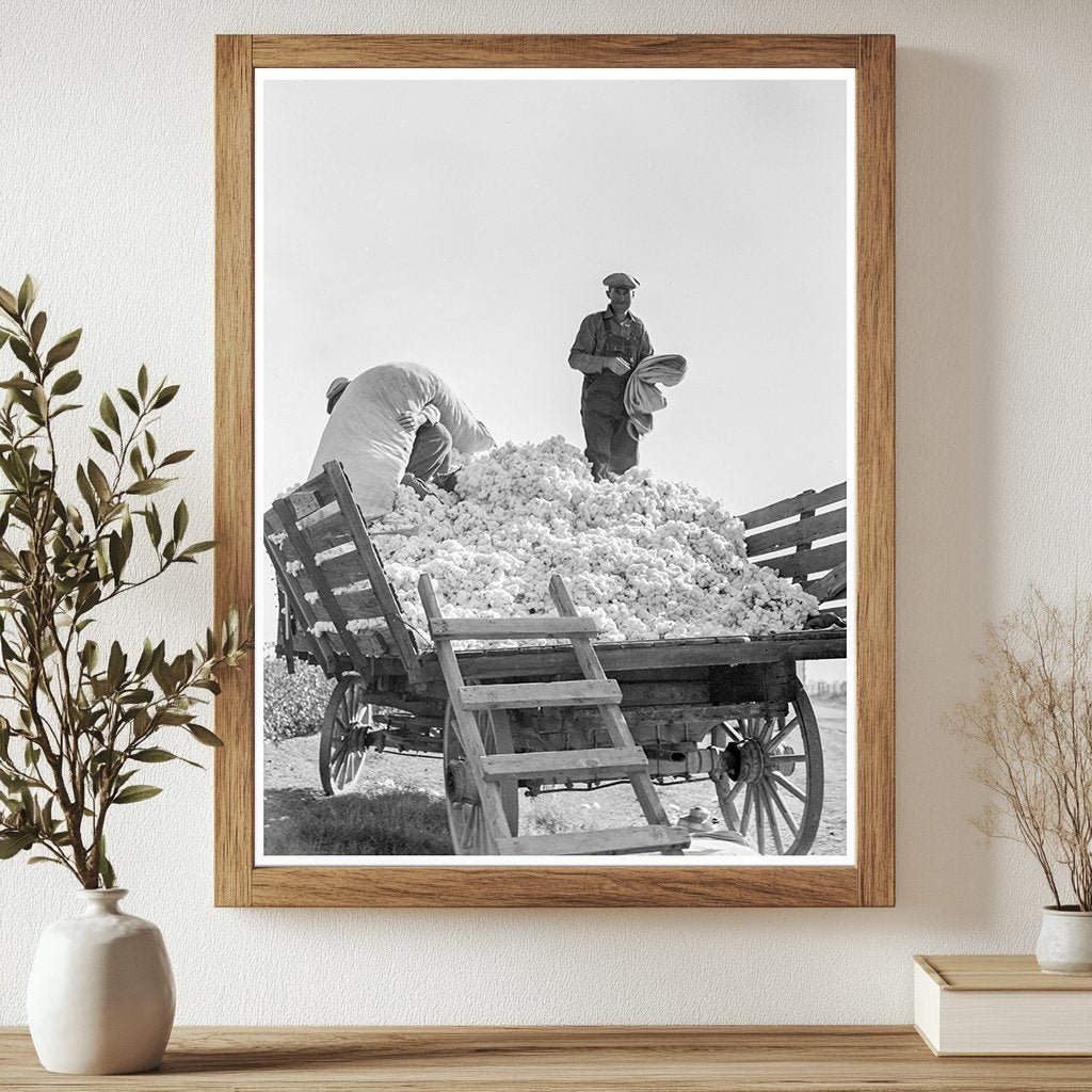 Cotton Pickers at Work Southern San Joaquin Valley 1936 - Available at KNOWOL