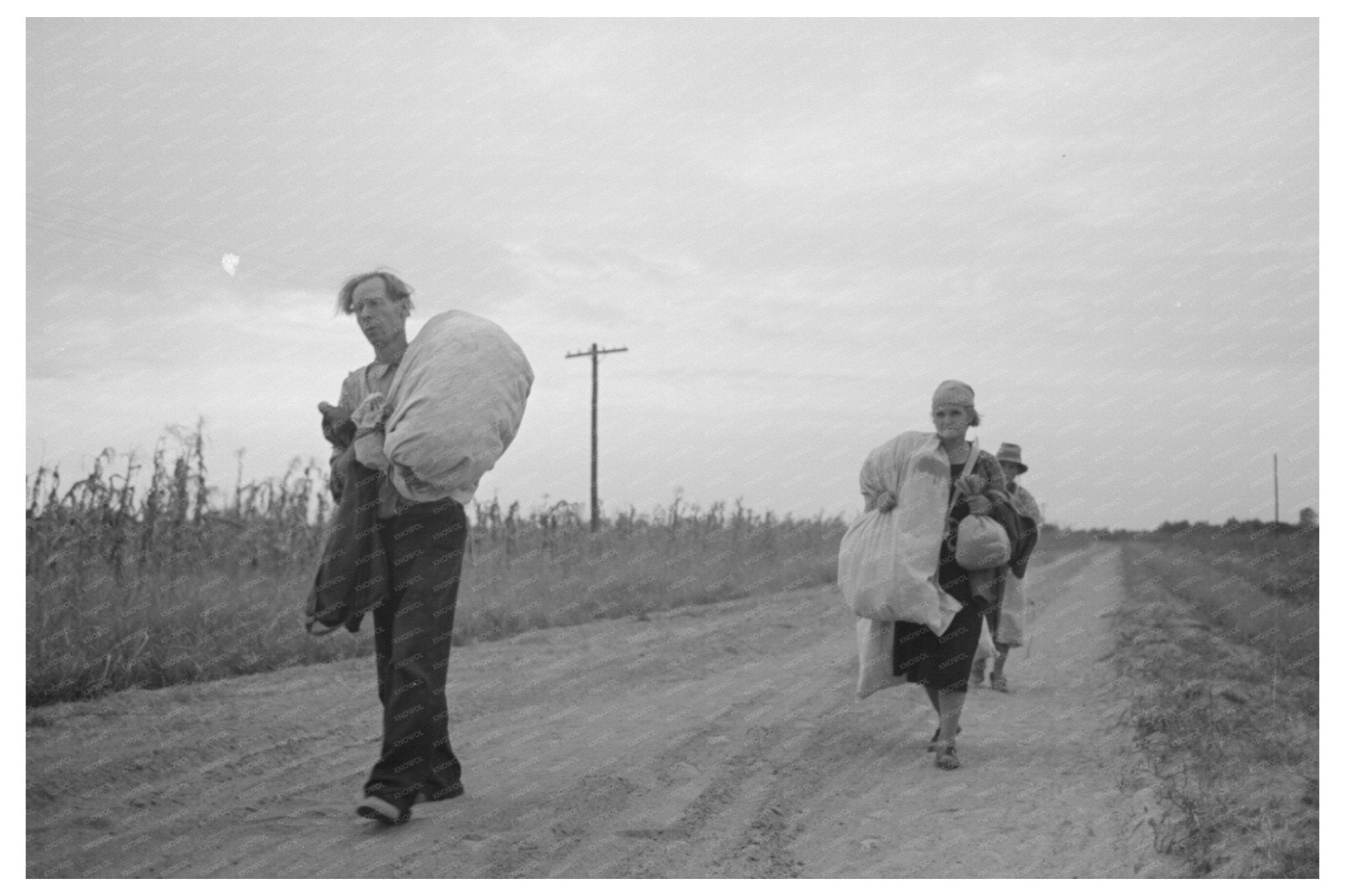 Cotton Pickers in Arkansas Fields September 1938 - Available at KNOWOL