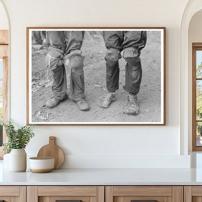 Cotton Pickers in Lehi Arkansas September 1938 - Available at KNOWOL