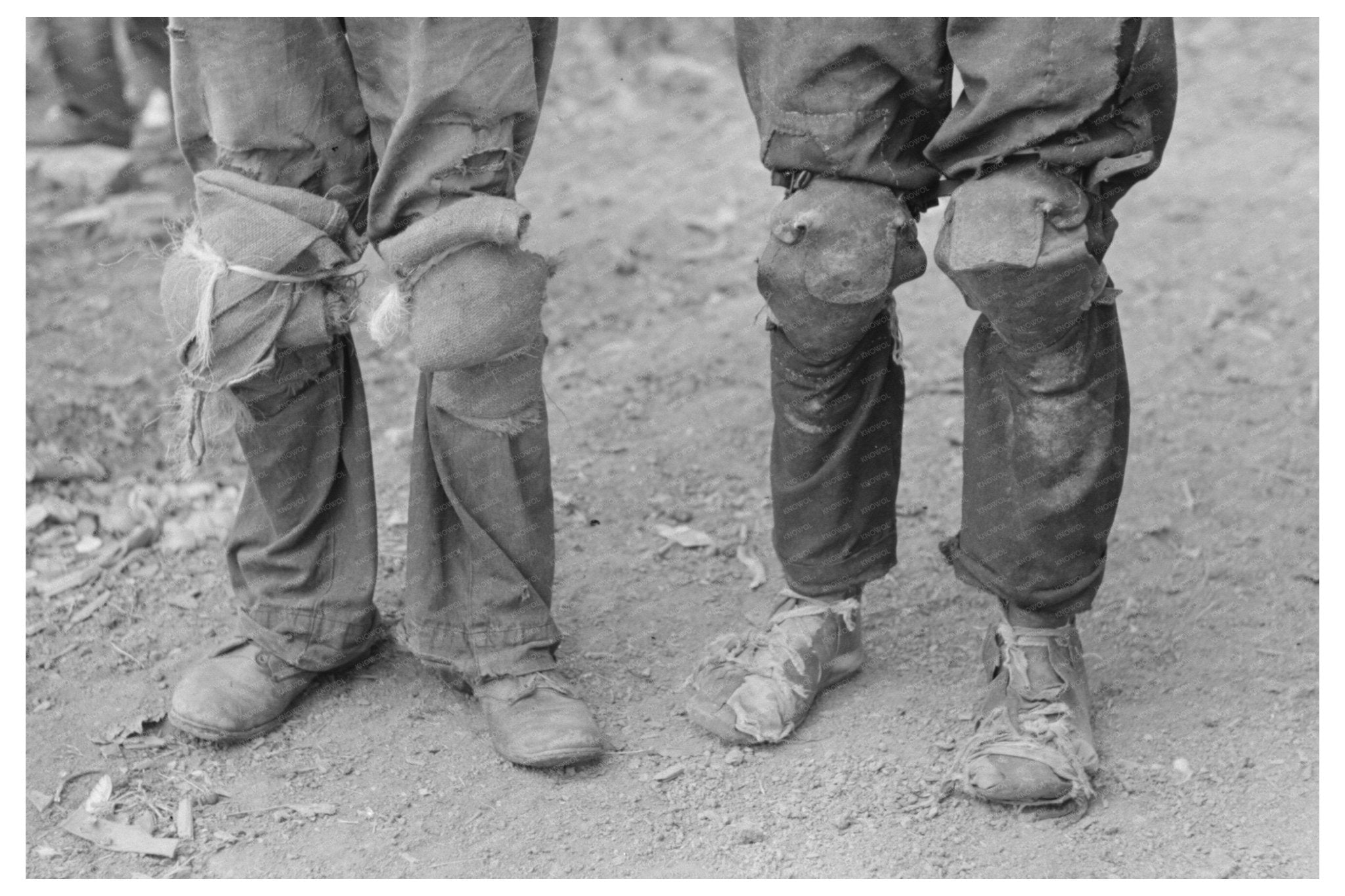 Cotton Pickers in Lehi Arkansas September 1938 - Available at KNOWOL