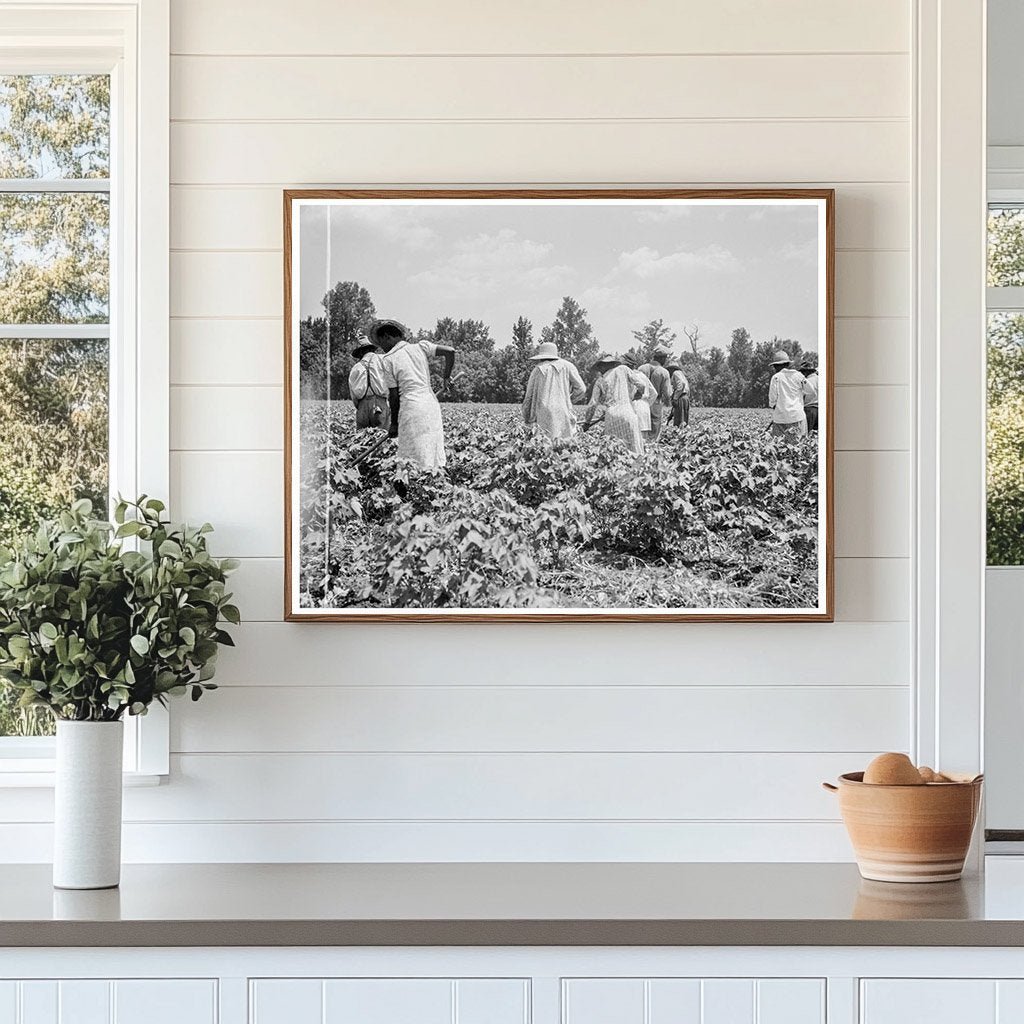 Cotton Pickers in Mississippi Delta June 1937 - Available at KNOWOL