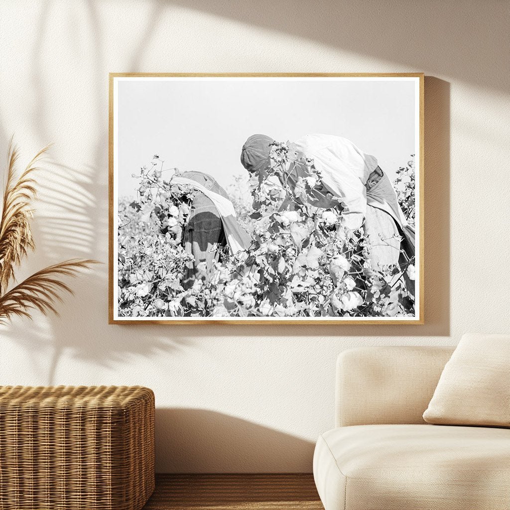 Cotton Pickers in San Joaquin Valley 1936 - Available at KNOWOL