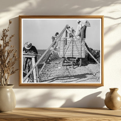 Cotton Pickers in San Joaquin Valley 1936 - Available at KNOWOL