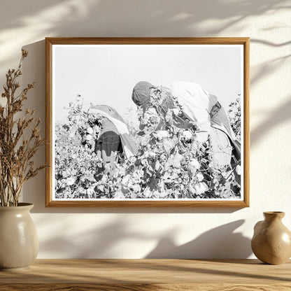 Cotton Pickers in San Joaquin Valley 1936 - Available at KNOWOL