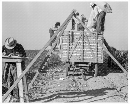 Cotton Pickers in San Joaquin Valley 1936 - Available at KNOWOL