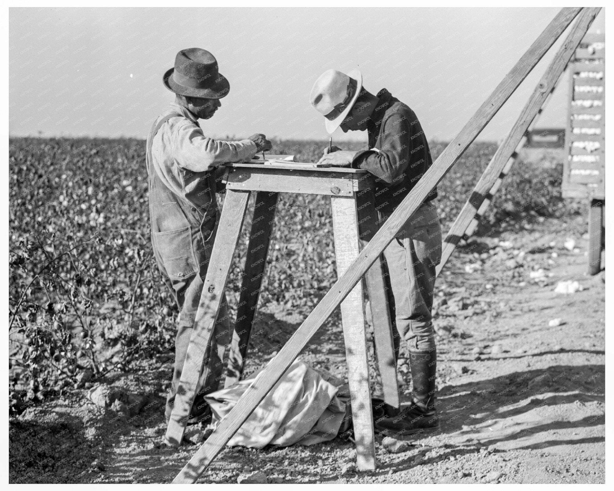 Cotton Pickers in San Joaquin Valley 1936 Black and White Photo - Available at KNOWOL