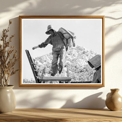 Cotton Pickers in San Joaquin Valley 1936 Photo - Available at KNOWOL