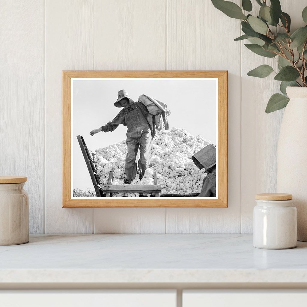 Cotton Pickers in San Joaquin Valley 1936 Photo - Available at KNOWOL