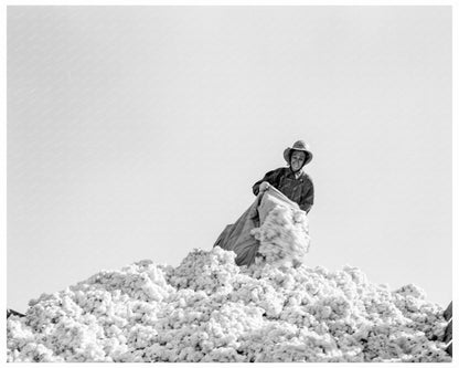 Cotton Pickers in San Joaquin Valley November 1936 - Available at KNOWOL