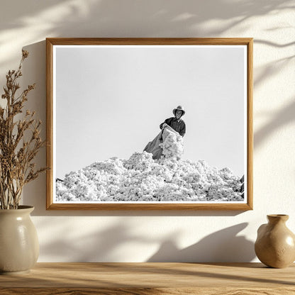 Cotton Pickers in San Joaquin Valley November 1936 - Available at KNOWOL