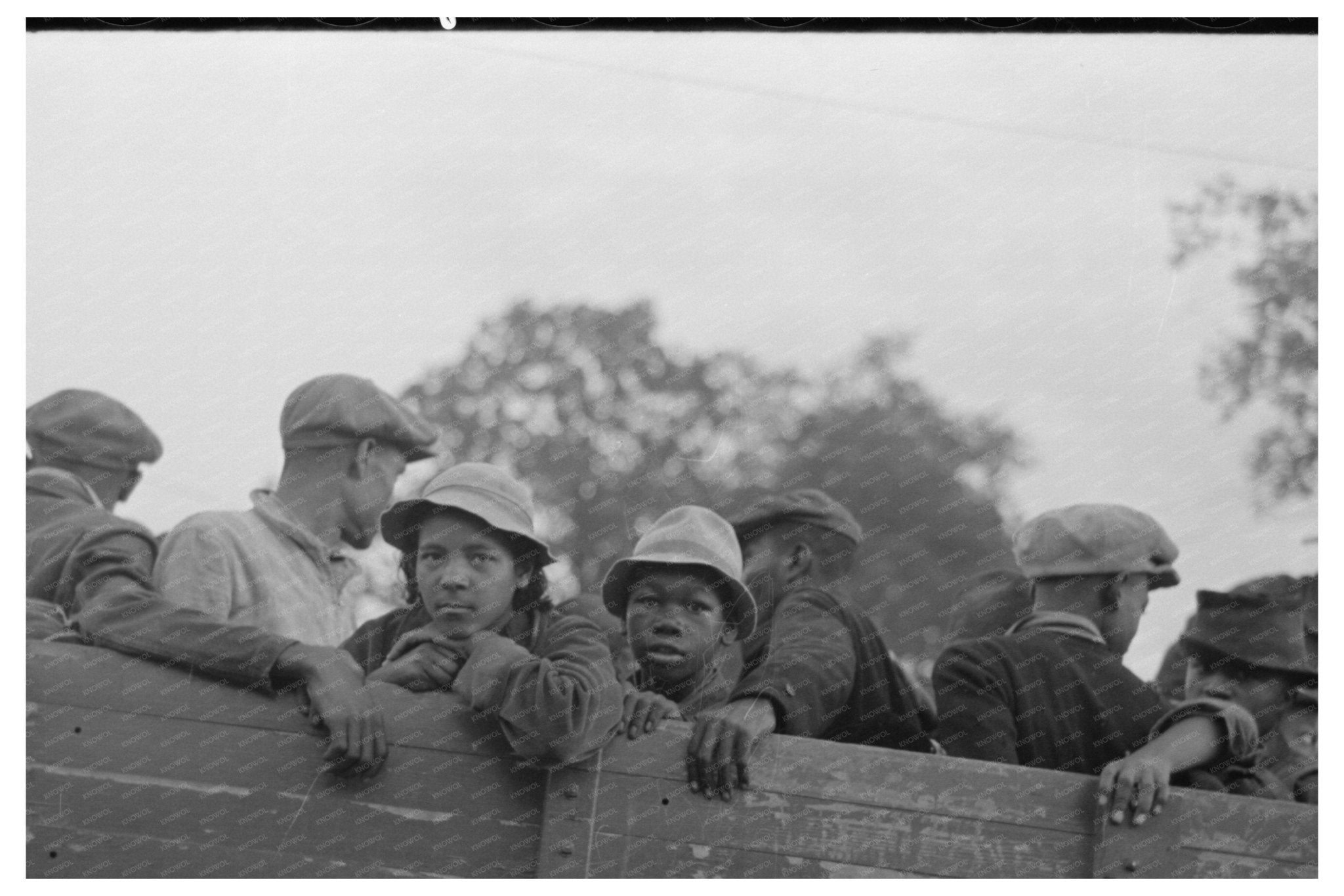 Cotton Pickers in Truck Pine Bluff Arkansas 1938 - Available at KNOWOL