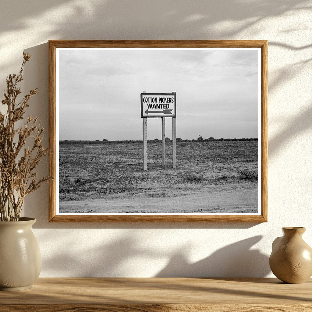 Cotton Pickers on U.S. Highway 99 California 1936 - Available at KNOWOL