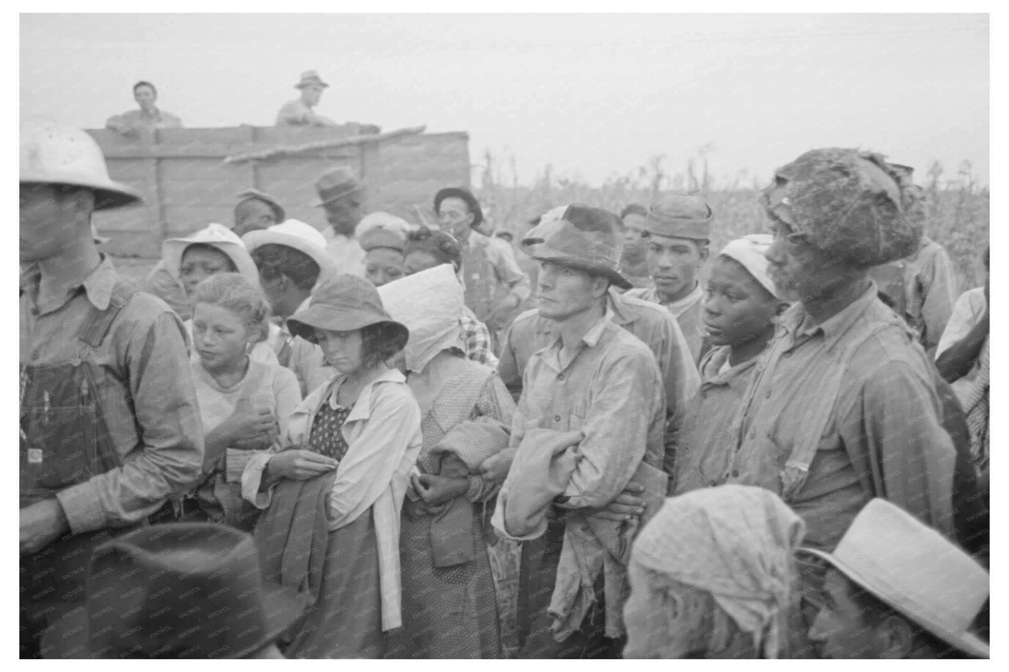 Cotton Pickers Payment Arkansas September 1938 - Available at KNOWOL