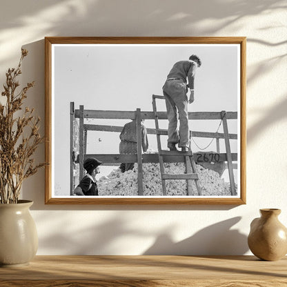 Cotton Pickers Southern San Joaquin Valley 1936 - Available at KNOWOL