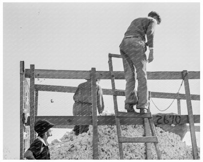 Cotton Pickers Southern San Joaquin Valley 1936 - Available at KNOWOL