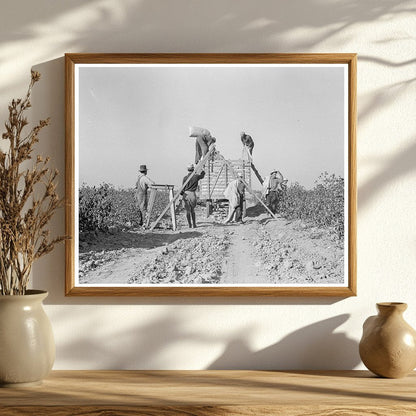 Cotton Pickers Weighing Harvest San Joaquin Valley 1936 - Available at KNOWOL