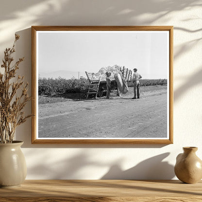 Cotton Pickers Weighing Harvested Cotton 1936 - Available at KNOWOL