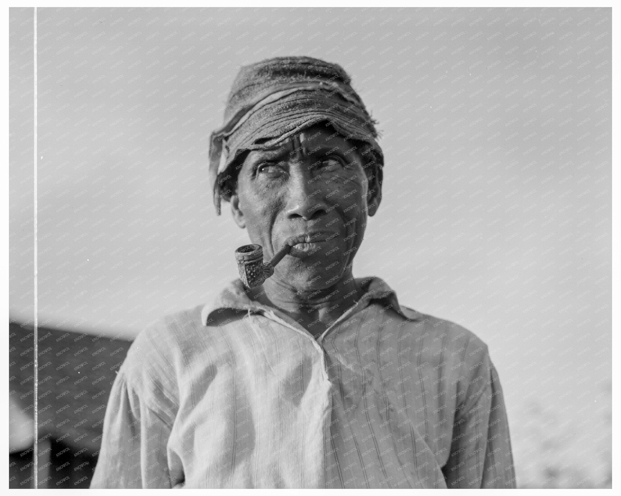 Cotton Picking at Aldridge Plantation Mississippi 1937 - Available at KNOWOL