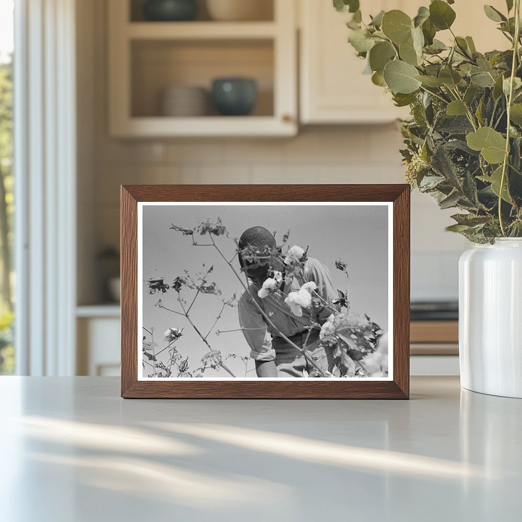 Cotton Picking at Lake Dick Project Arkansas 1938 - Available at KNOWOL